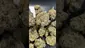 Video Thumbnail: PrescribedBouquet