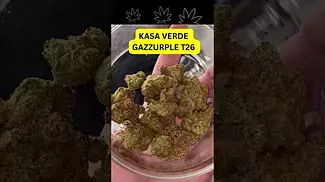 KASA VERDE | GAZZURPLE | T26 | UK MEDICAL FLOWER #420community #ukmedicalcannabis #cbpm #420blazeit