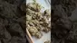 Video Thumbnail: Medicals UK
