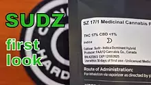 Smacksalad Video Thumbnail