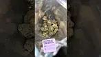 AAAA RIPPED OFF RUNTZ (jealousy x runtz) UK MEDICAL PRESCRIPTION.