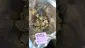 Video Thumbnail: MarmitesMedicalUK