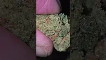 Vinnie's Lounge Video Thumbnail