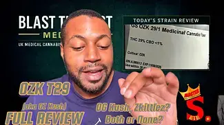 OZK T29 UK Medical Cannabis Strain Review | Zkittlez Meets OG Kush #cannabiseducation