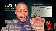 Master S BTB Video Thumbnail