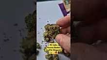ScottiDunCanna Video Thumbnail
