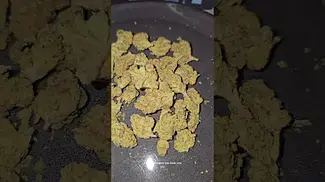 My Pals 1st Script Sundaze Candy Store, Upstate Imperial Mimosa, Curo Runtz Muffin First Impressions