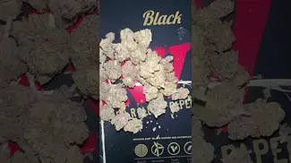 Craft Botanics Slurricane Mimosa  UK MEDICAL