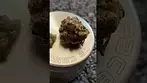 Sitka KSD T23 - Kim's Sweet Diesel - UK Medical Cannabis Flower Review