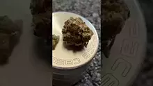 ERB B4S Video Thumbnail