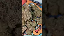 PrescribedBouquet Video Thumbnail