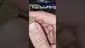 Video Thumbnail:  The Cannabis Patient