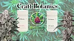Slurricane Mimosa T28 & Georgia Pie T27 by Craft Botanics : Medical Cannabis Review 