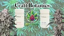 Big Bud Reviews Video Thumbnail