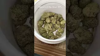 Hilltop Leaf MAC Driver T22 Review #ukmedicalcannabis #medicalcannabis