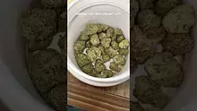LoudConnoisseur Video Thumbnail