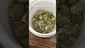 Video Thumbnail: LoudConnoisseur