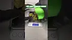 Seed Junky: Permanent Marker (Pack opening & Weigh)