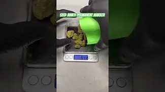Seed Junky: Permanent Marker (Pack opening & Weigh)