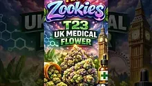 VIP THC Video Thumbnail