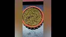 THC Bunny Video Thumbnail