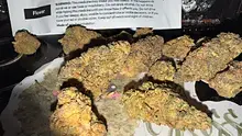 Onemans 420 Video Thumbnail