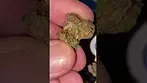 UK MEDICAL | MOON ROCKS | GREEN JOY T27 #moonrocks #ukmedicalcannabis #cbpm #420 #420community