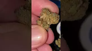 UK MEDICAL | MOON ROCKS | GREEN JOY T27 #moonrocks #ukmedicalcannabis #cbpm #420 #420community