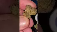Cannabis Culture  Video Thumbnail