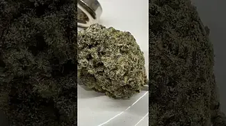 Kootenay Crystal Caviar 25% UK