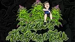 GROW PHARMA T-20-22 &  GELATO T-18 MEDICAL CANNANBIS FLOWER (I’ve Found seeds in  the GELATO