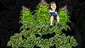 Video Thumbnail: Jack & The Green Talk