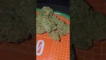 Eazypax420 Video Thumbnail