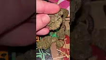 St0nerLukas Video Thumbnail
