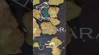  Papaya Bantz Medical  Flower Review  | Chill, Funky & Potent!