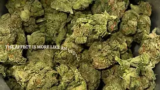 Find ZKS T23 Zookies Medical Strain Reviews #16