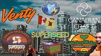 Cake City by Canadian Craft — Is This the Best UK? 