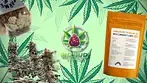 Thin Mint Jealousy by Carmel T25 : Medical Cannabis Review
