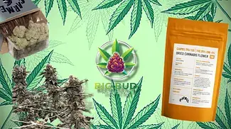Thin Mint Jealousy by Carmel T25 : Medical Cannabis Review