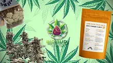 Big Bud Reviews Video Thumbnail