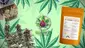 Video Thumbnail: Big Bud Reviews