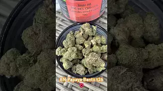 Big Narstie Papaya Bantz t26  #ukmedicalcannabis #painrelief #medicalcannabis #medical #paitent