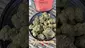 Video Thumbnail: Medical420TV