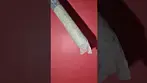 Roll Test - Golden Gauth