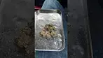 Lumir Crumbled Lime Ten T23 Review #medicalcannabis #ukmedicalcannabis