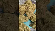 Medicated Barber Friend Video Thumbnail