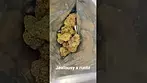 AAAA Ripped off Runtz uk medical