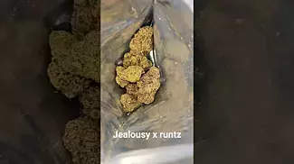 AAAA Ripped off Runtz uk medical