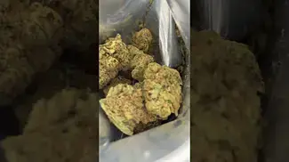 OZK T29 NUGS 1 | UK Medical Cannabis Strain Review #ukmedicalcannabis #ukmedical #cannabiseducation
