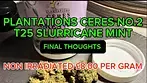Plantations Ceres No.2 T25 Slurricane Mint Legal UK Medical Cannabis Flower - RRP £8.00 per gram